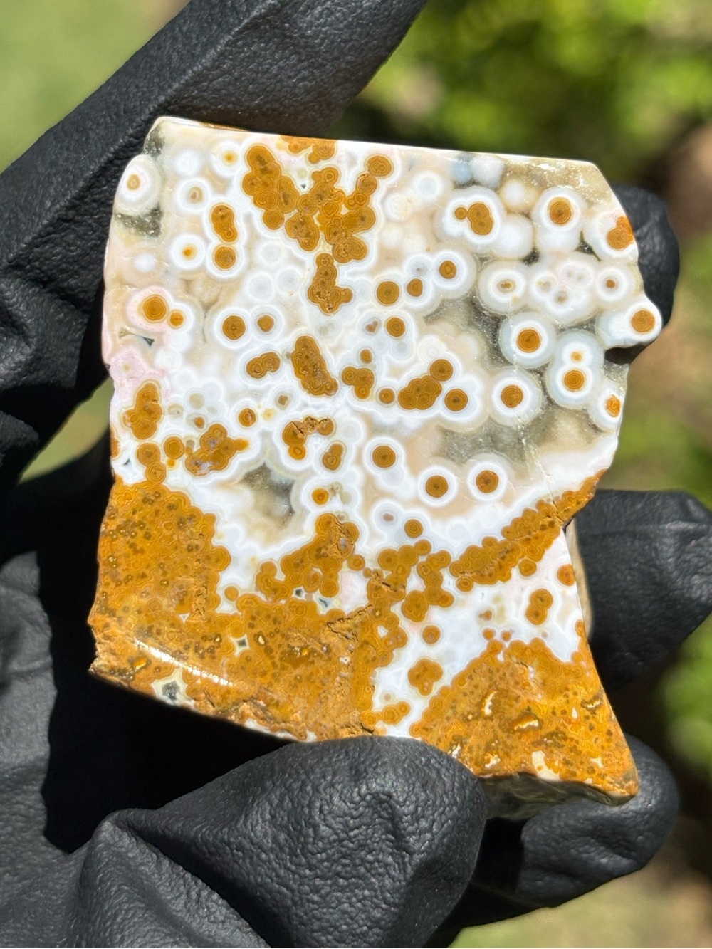 Ocean Jasper Freeform - Polished Sea Jasper - Orbicular Jasper - Slight Chip